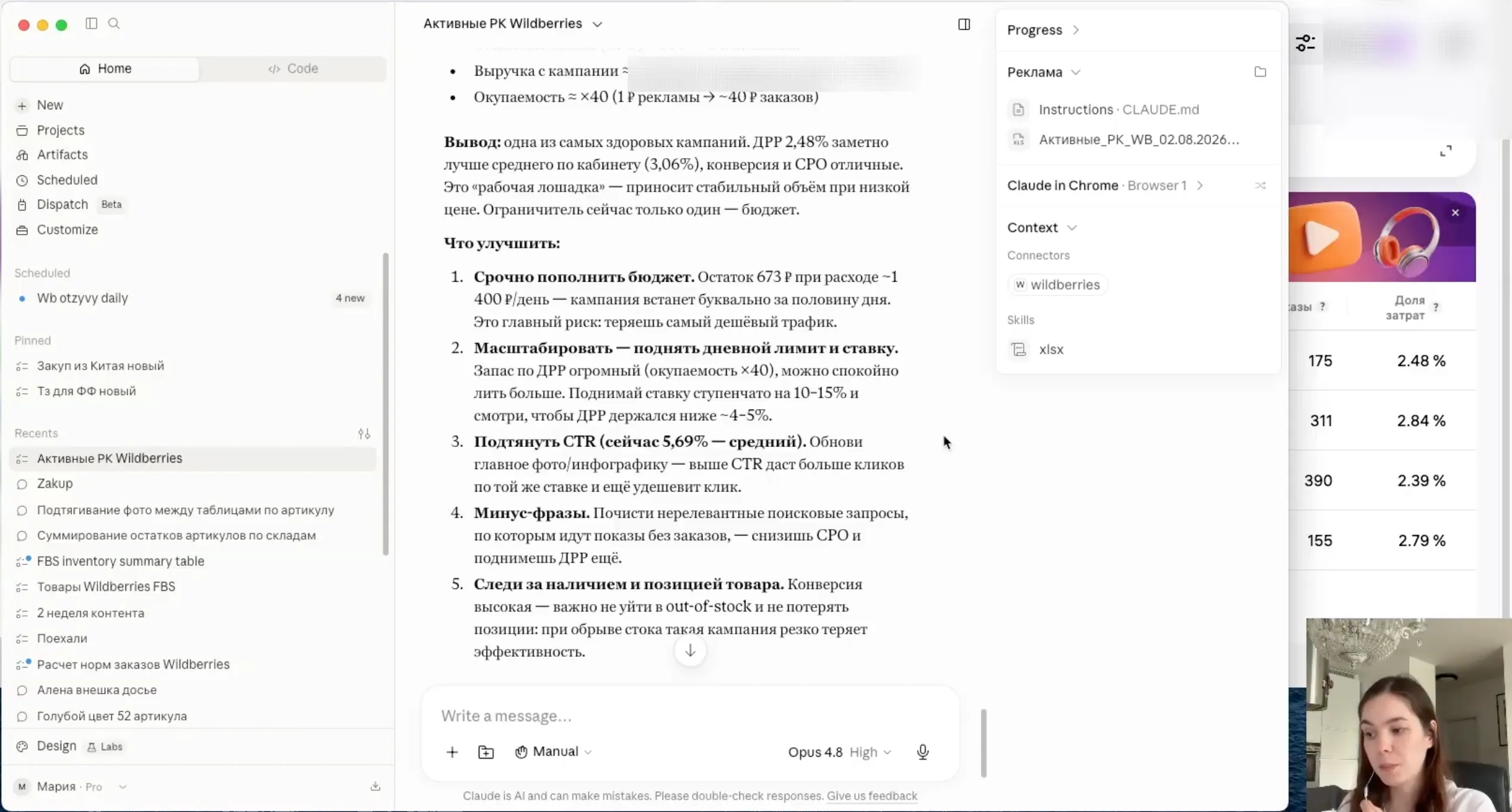 Агент по рекламе Wildberries: отчёт по кампаниям